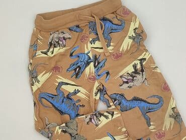 Sweatpants, Sinsay, 3-4 years, 110/116, condition - Very good