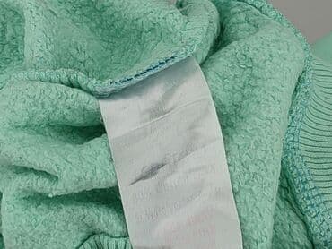 koszulka wilk i zając: Sweatshirt, 3-4 years, 98-104 cm, condition - Very good — 5