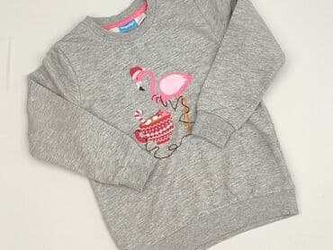 c and a bluza: Bluza, Lupilu, 3-4 lat, 98-104 cm, stan - Bardzo dobry — 1