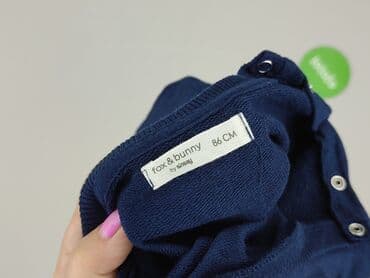 koszulka koty: Sweater, Sinsay, 12-18 months, condition - Very good — 4