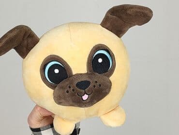 koszulka z mopsem: Mascot Dog, condition - Perfect — 3