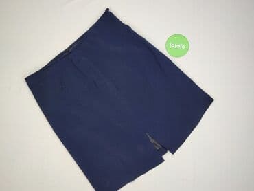 niebieska spódnice plisowane: Spódnica damska, 3XL — 2