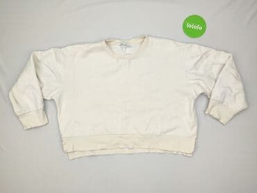 pull and bear sweter: Zara, Bluza damska
, rozmiar L — 2