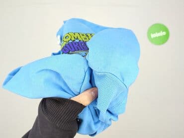 wojcik rajstopy: Sweatshirt, Sinsay, 3-4 years, 98-104 cm, condition - Very good — 6