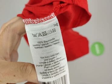 zara t shirty minnie: Disney, Футболка жіноча, розмір L — 5