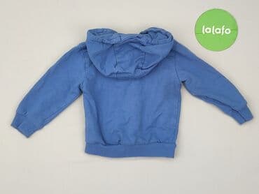 bluza wojan team allegro: Sweatshirt, Fox&Bunny, 6-9 months, condition - Very good — 3