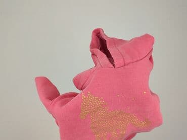 ile wazy bluza: Bluza, 5-6 lat, 110-116 cm, stan - Bardzo dobry — 7