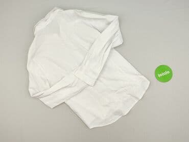 koszule almat: Koszula damska, rozmiar 3XL — 6