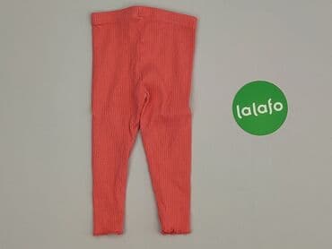 kapcie w ccc: Leggings, Cool Club, 9-12 months, condition - Very good — 3