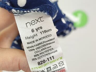 swetrowa sukienka h: Blouse, Next, 5-6 years, 110-116 cm, condition - Very good — 5