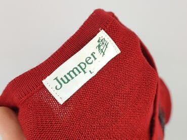kurtki zimowe lidl: Jumper, Sweter damski, L — 4
