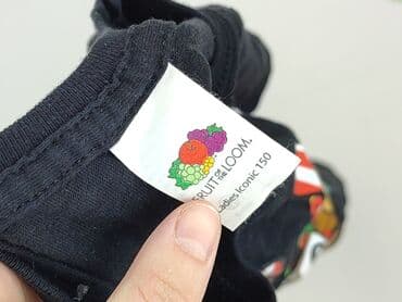 koszulka z gołębiem allegro: T-shirt, Fruit Of The Loom, 12 years, 146-152 cm, condition - Very good — 4