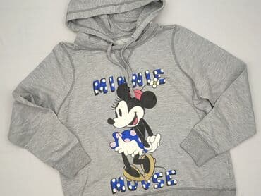 t shirty z psem: Disney, Women`s hoodie, size M (EU 38) — 1