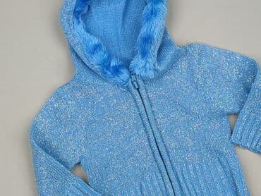 Sweatshirt, 9-12 months, condition - Perfect