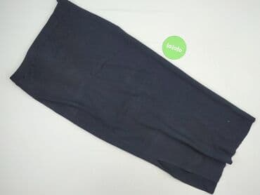 bluzki dla puszystych allegro: ALBA MODA, Spódnica damska, L — 3