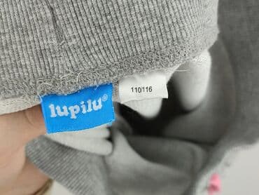 stradivarius spodnie woskowane z wysokim stanem: Sweatpants, Lupilu, 5-6 years, 116, condition - Perfect — 4