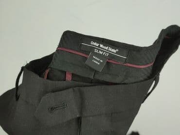 spodnie cecil: Cedar Wood State, Spodnie dla mężczyzn, rozmiar S — 4