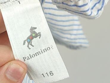 srebrne paski do sukienki: Blouse, Palomino, 5-6 years, 110-116 cm, condition - Very good — 4
