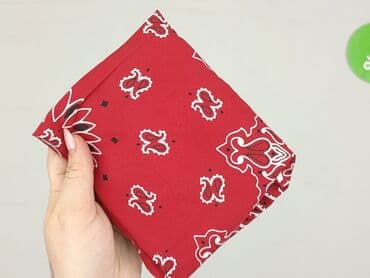 torba guess: Neckerchief, Female, condition - Perfect — 4