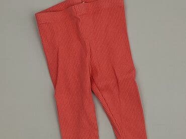 kapcie w ccc: Leggings, Cool Club, 9-12 months, condition - Very good — 1