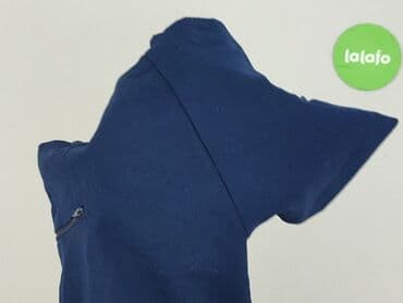 rajstopy i szorty: Terranova, Szorty damskie, L — 6