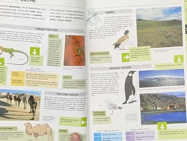 Books, Audio & Video formats: Book, genre - Educational, condition - Very good — 5