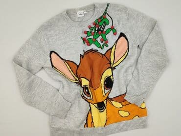 Disney, Women`s sweater, M