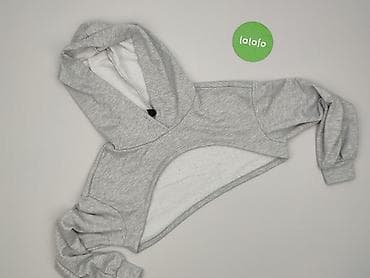 pusheen h: Shein, Bluza z kapturem damska, rozmiar 2XS — 2