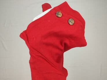 leggings in primark: Selected Femme, Spodnie materiałowe damskie, XL — 5