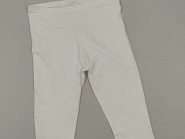 Legginsy: Terranova, Legginsy Sportowe damskie, rozmiar L
