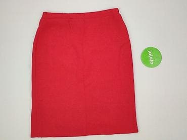 cipo: ALBA MODA, Spódnica damska, rozmiar XL — 2