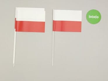 koszulka paliona allegro: Inne artykuły dla domu — 2