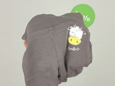 krótkie spodenki niemowlęce 74: Sweatpants, Lupilu, 3-6 months, condition - Perfect — 6