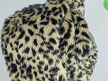 St. Bernard, Fur, size L — 7