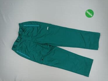 lidl szorty lniane: Women`s trousers, size L (EU 40) — 2