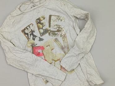 koszulka koty: Blouse, Reserved, 7 years, 116-122 cm, condition - Very good — 1