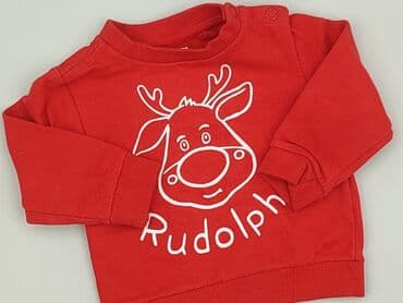 koszulki coca cola: Sweatshirt, Fox&Bunny, 6-9 months, condition - Perfect — 1