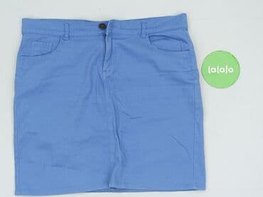 krótkie spódnice tiulowe: In Extenso, Women`s skirt, size L (EU 40) — 2