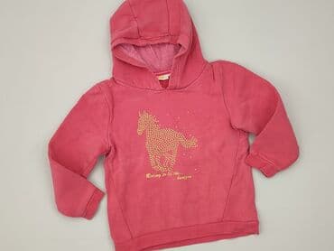 ile wazy bluza: Bluza, 5-6 lat, 110-116 cm, stan - Bardzo dobry — 1