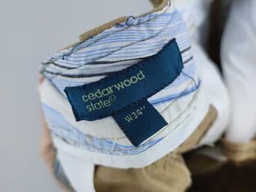 rajstopy i szorty: Cedar Wood State, Szorty dla mężczyzn, L — 5