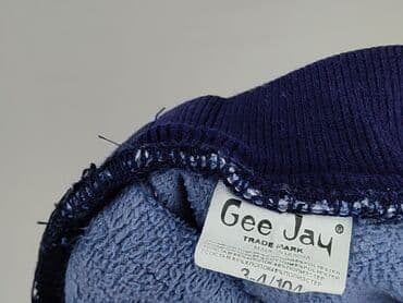 lidl podkoszulki dzieciece: Spodnie jeansowe, GeeJay, 4-5 lat, 104/110, stan - Bardzo dobry — 5