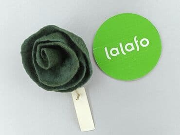 Accessories: Pin, condition - Very good — 2