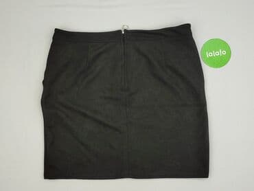 plisowane spódnice lidl: Janina, Spódnica damska, XL — 6