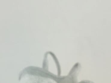 hexeline bluzki: Shein, Women`s top, XL at lalafo.pl — 7 hexeline bluzki: Shein, Women`s top, XL — 7