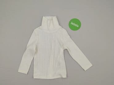 koszulka wilk i zając: Golf, Shein, 4-5 lat, 104-110 cm, stan - Bardzo dobry — 2
