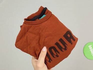 podkoszulki basic: Sweatshirt, Little kids, 3-4 years, 98-104 cm, condition - Very good — 6
