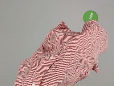 abercrombie and fitch t shirty: Bershka, Women`s shirt, S — 5