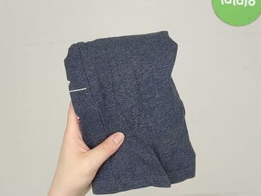 basicowe koszulki: Bluza, Little kids, 2-3 lat, 92-98 cm, stan - Bardzo dobry — 5