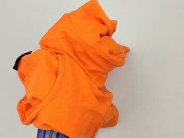 koszulki z długim rękawem damskie boss orange: Janina, T-shirt damski, rozmiar S — 5