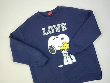 bluza szara pull and bear: Peanuts, Bluza damska
, rozmiar XL — 1